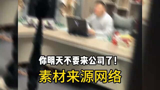 年度打工报告