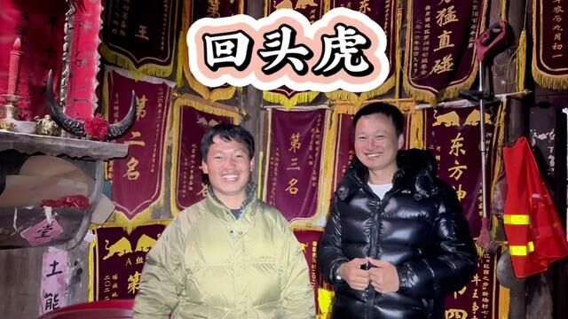 牛王之家,河坝养牛达人——张元,恭喜回头虎夺得河坝瑶年节斗牛比赛A组冠军.#民族斗牛文化 #斗牛解说 #牛王争霸赛