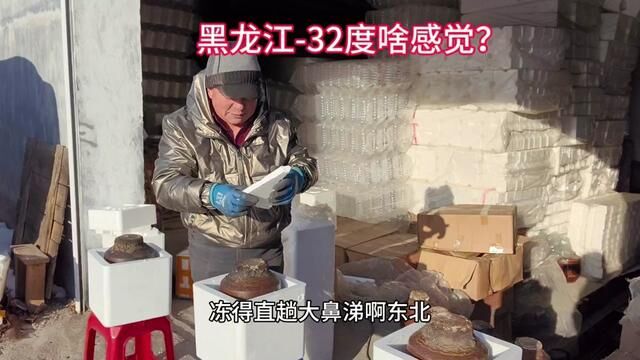 黑龙江32度人们都啥感觉?这位大哥真狠,一次买15坛陈酿高粱酒#白酒 #纯粮酒 ##纯粮酿造好喝不上头 #户外