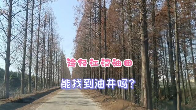 潜江去往荆州途经江汉油田,特意下高速去看,我们能找油井吗?