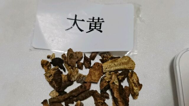 中药传承,让我们每天来了解一味中药吧:大黄