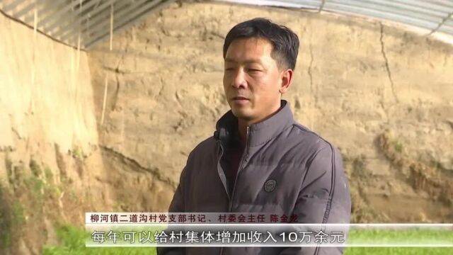 柳河镇:特色产业助推村集体经济可持续“造血”丨乡村行 看振兴