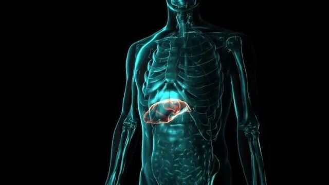 “双重认证”,全球首款量子能谱DSA来了