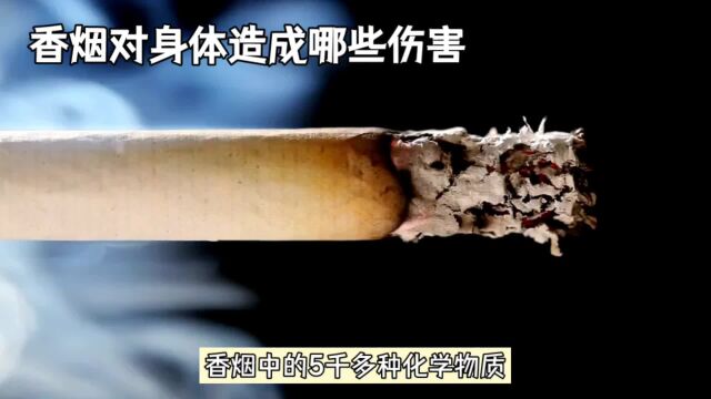 香烟对身体会造成哪些伤害