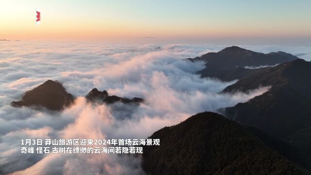 快!来看莽山旅游区2024年首场云海