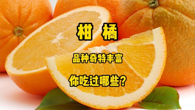 人人都喜爱的美味柑橘,品种奇特丰富,你吃过哪些?来一探究竟.