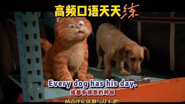 S292丨Every dog has his day.是什么意思?