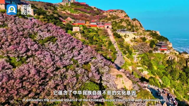 In Shandong丨巍峨泰山:是五岳独尊,也是青春之山