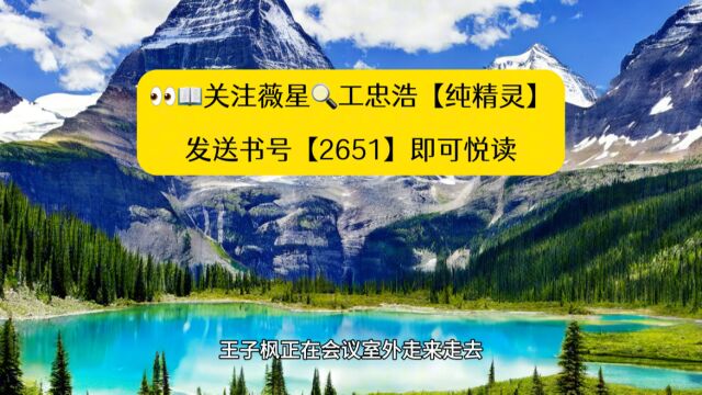 《官海沉浮之美人泪》王子枫职场热书全文阅读◇无删减