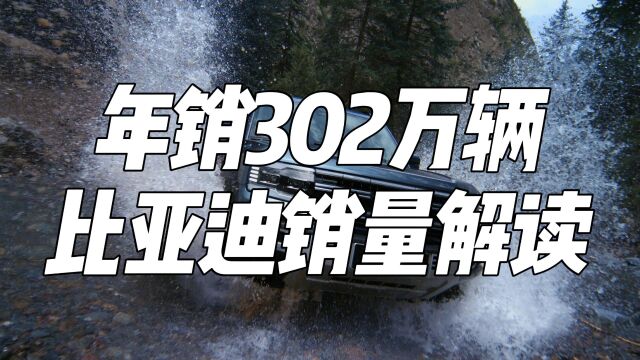 比亚迪年度销量解读,全年卖出302万台,不加定语的销量冠军