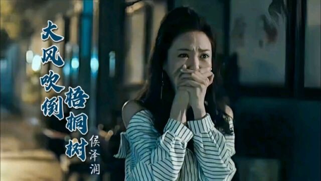 侯泽润一首《大风吹倒梧桐树》深情歌声句句沧桑,唱出人生的无奈