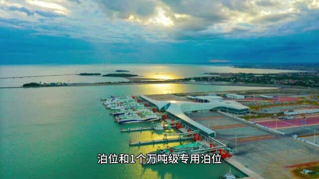 海安新港与徐闻港:广东的海上门户