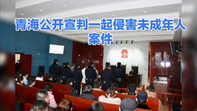 青海公开宣判一起侵害未成年人案件