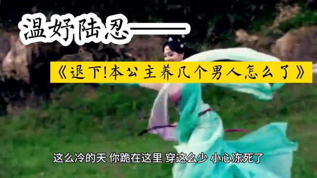 《退下!本公主养几个男人怎么了》温妤陆忍——高分女频(完整无删减)