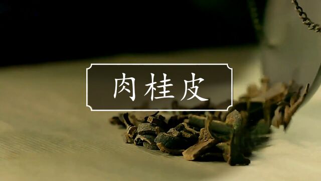 原来肉桂粉是用树皮制作的