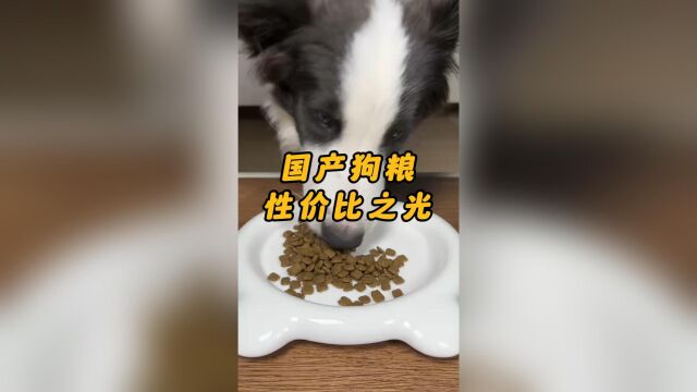 国产狗粮性价比之光,宠率鸭肉梨犬粮,高肉含量还能控制泪痕!!