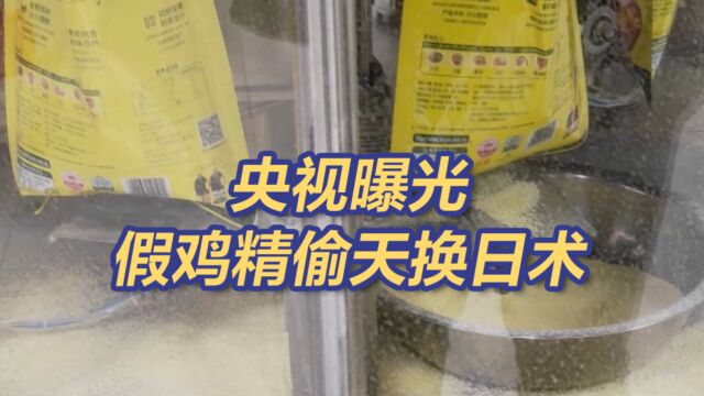 央视曝假鸡精“偷天换日”术!品牌打假团队为造假团伙提供真包装技术