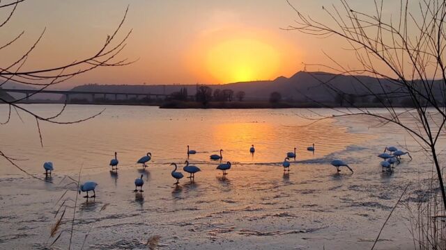 夕阳晚照,惬意如诗