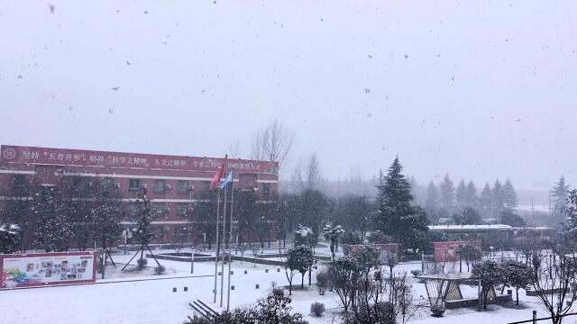 你听!雪落下的声音|西安东方美术综合职业高中校园雪景