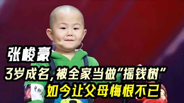 “张峻豪”3岁成名5岁年入百万,如今现状令人唏嘘,父母后悔不已