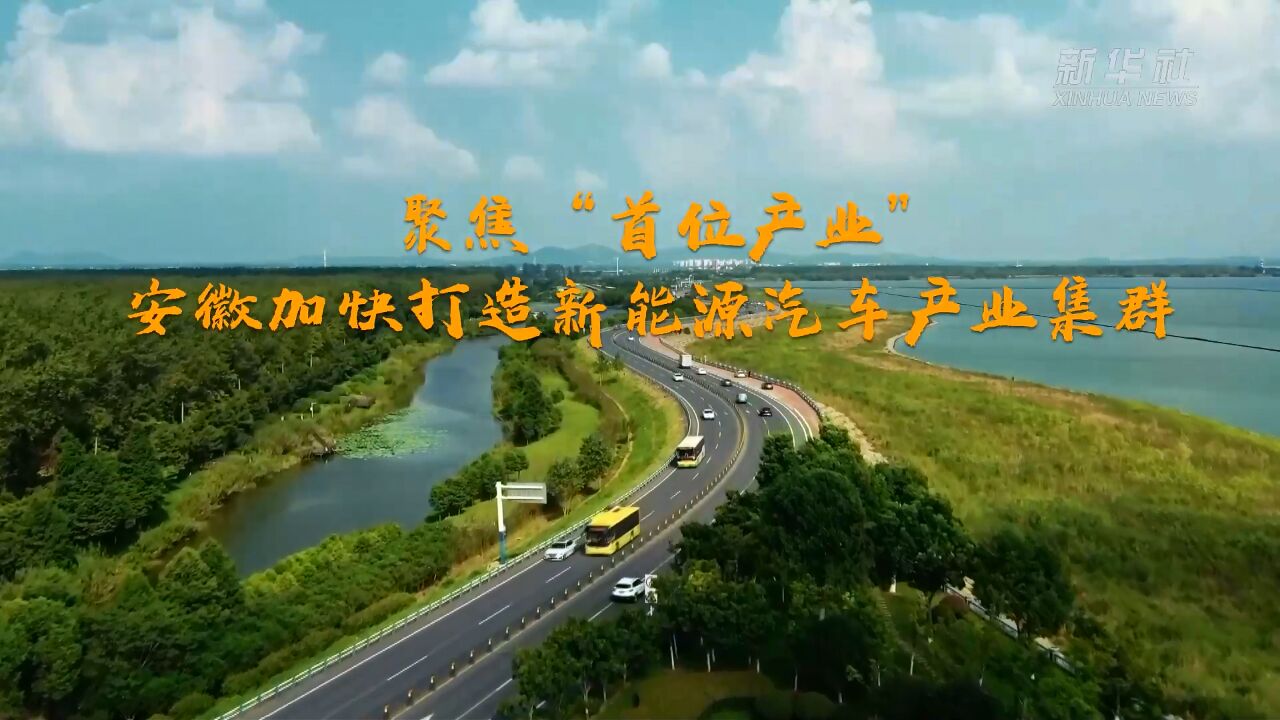 聚焦"首位产业" 安徽加快打造新能源汽车产业集群