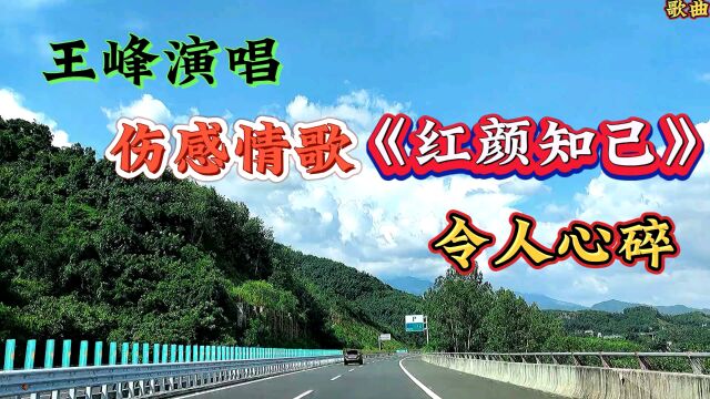 王峰演唱伤感情歌《红颜知己》令人心碎