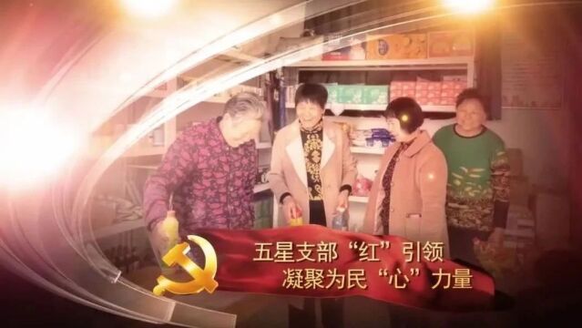 【“五星”耀新乡】诚城社区——打造有烟火气的幸福港湾