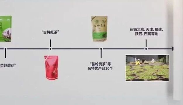 “10大品牌”之“10大老字号品牌” 申报品牌展播|拥有“云津”,家庭“温馨”