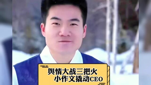 23年岁未网络舆情三把火,小作文撬动CEO,大BOSS出手,销冠重归