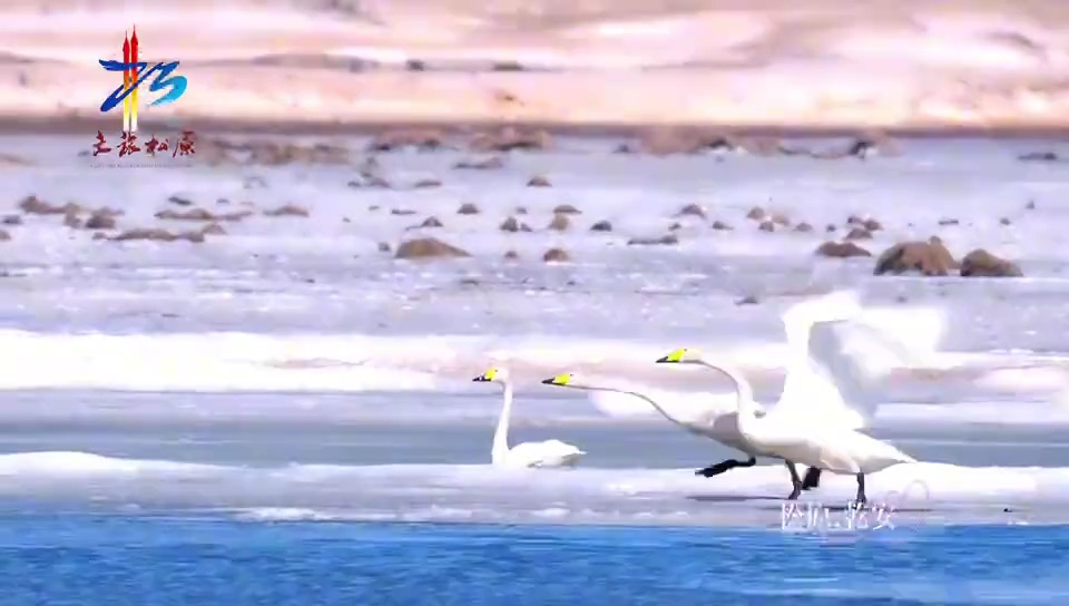 百湖之城 松原乾安生态之美