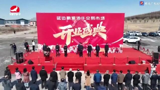 延边鹏源活牛交易市场开集 首日交易额突破900万元