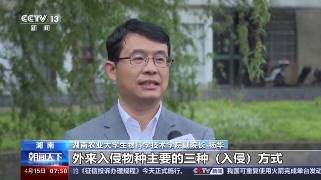 00:00/00:00湖南农业大学生物科学技术学院副院长 杨华:外来入侵物种