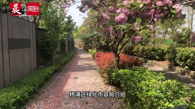 江湾城路图片