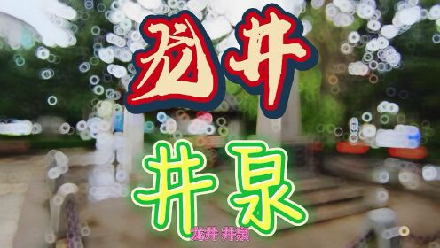 【今日vlog】龙井 井泉 简单逛一逛