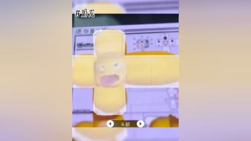 龙宝和萌柚 