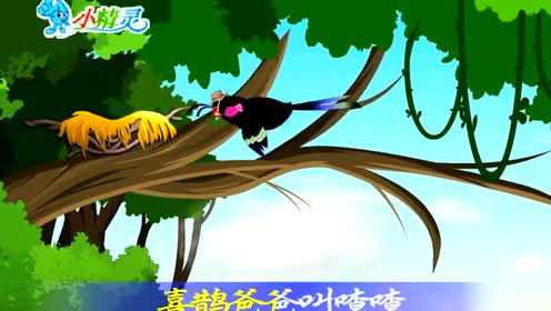 花喜鹊_腾讯视频