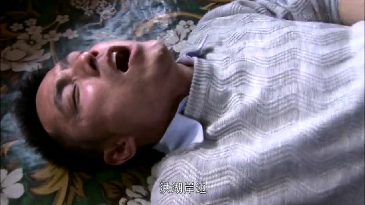 翠兰的爱情 12集