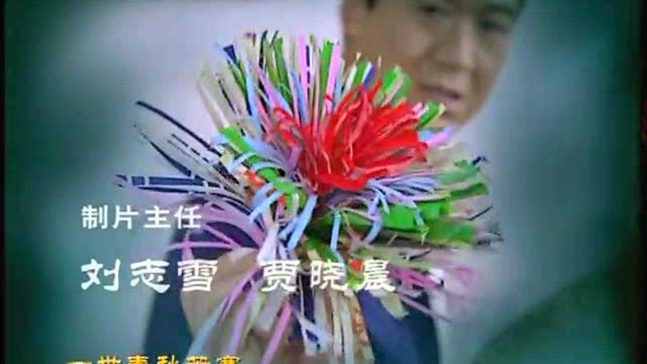 我这一辈子 11集