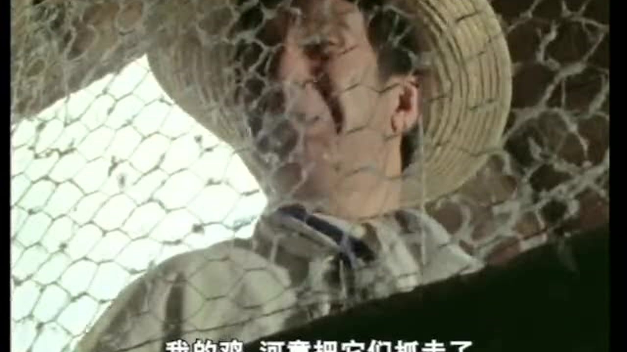超人赛文 40集