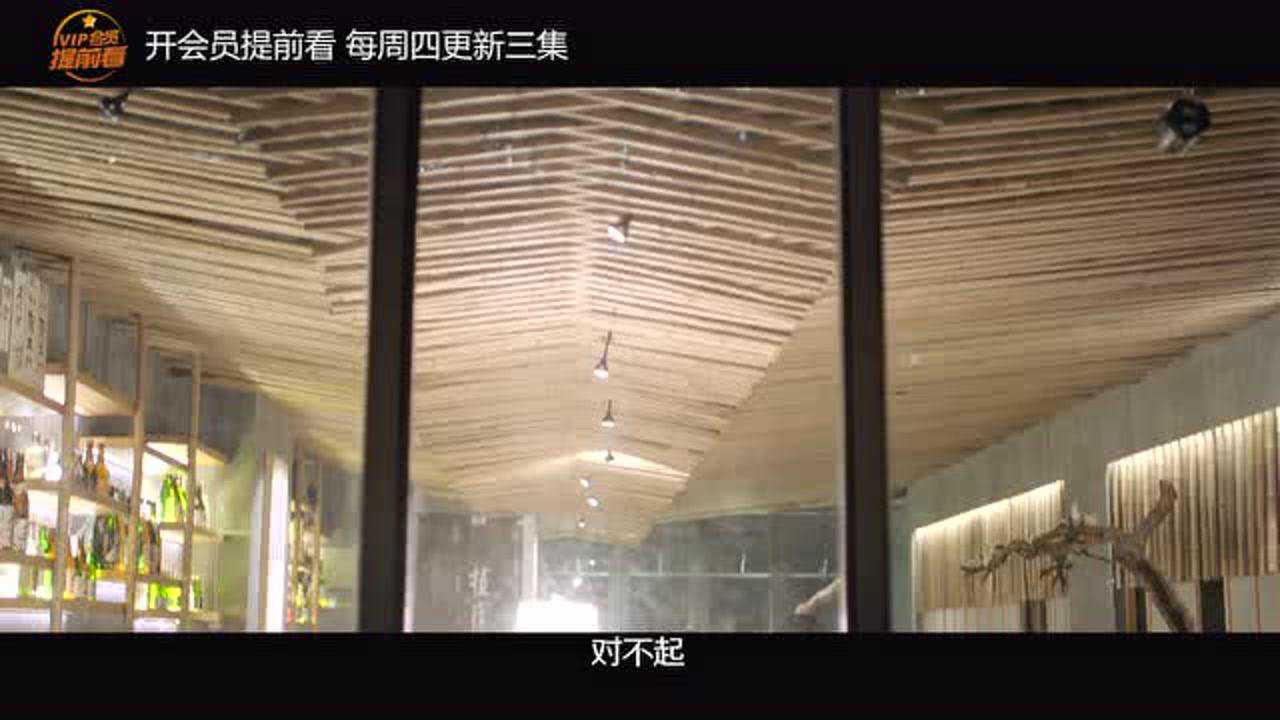 重生之名流巨星 5集