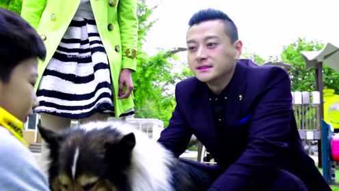 警花与警犬 16集
