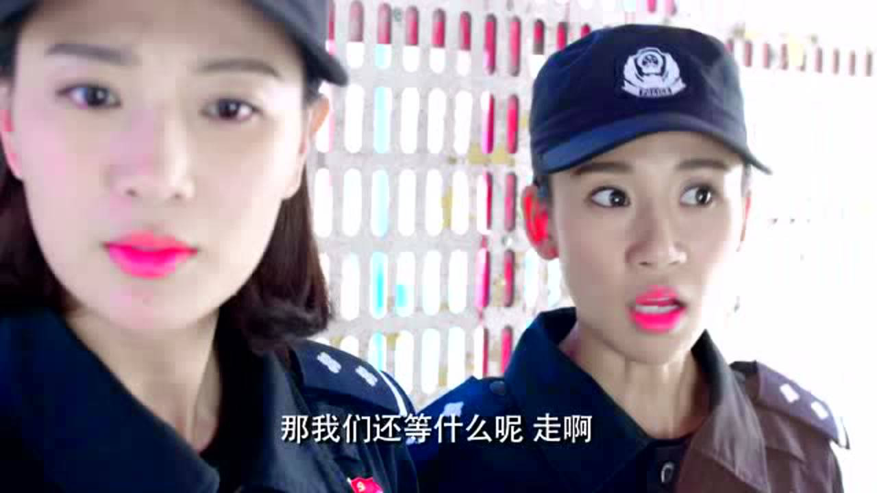 警花与警犬 29集
