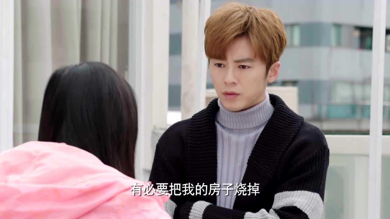 如朕亲临 13集