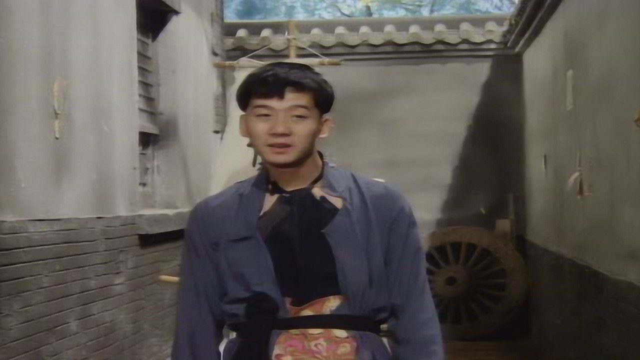 假行家 48集