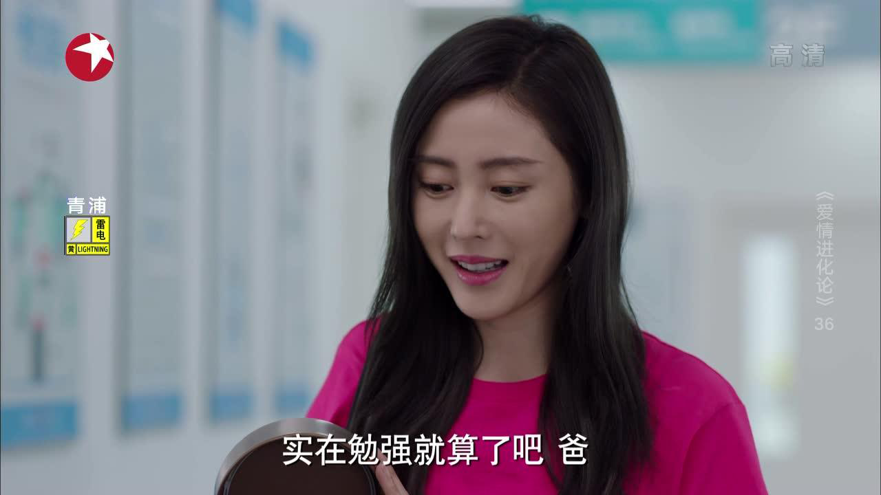 爱情进化论 36集