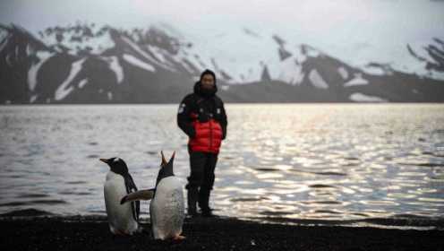 第6集：首登南极：窦骁30岁生日，企鹅与老狼对视“反差萌”
