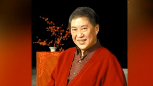 《可凡倾听》特别节目:春华秋实40年(四)_综艺_高清完整版视频在线观看_腾讯视频
