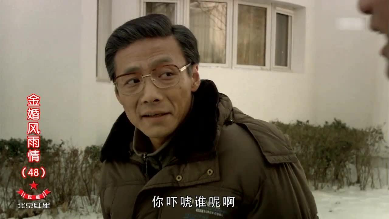 金婚风雨情 48集