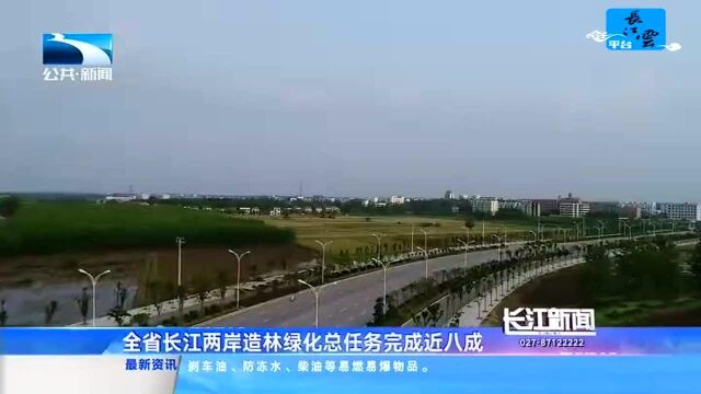 全省长江两岸造林绿化总任务完成近八成