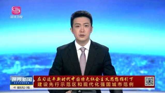 在习近平新时代中国特色社会主义思想指引下 建设先行示范区和现代化强国城市范例